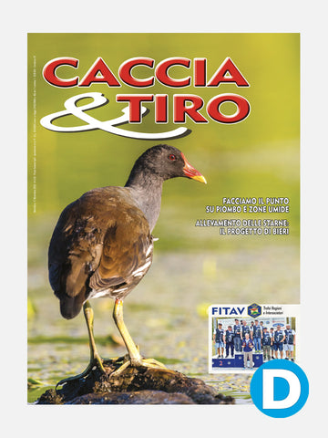 COVER RIVISTA - CACCIA & TIRO n. 11/2023 - DIGITALE