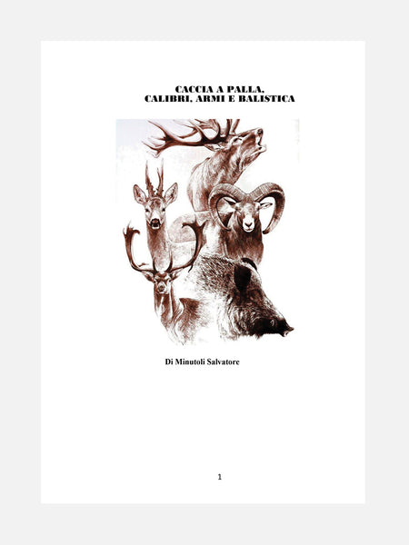 PAGINA 1 LIBRO - CACCIA A PALLA, CALIBRI, ARMI E BALISTICA