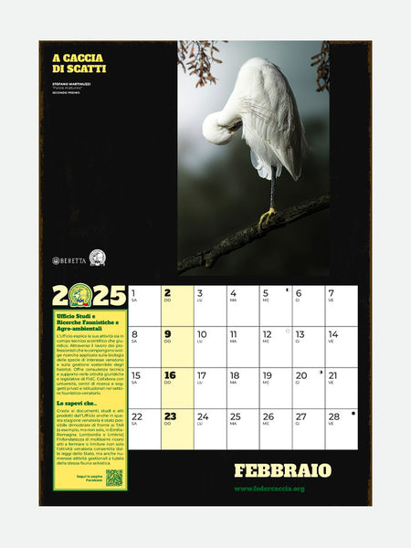 PAGINA 3 GADGET - CALENDARIO FIDC 2025