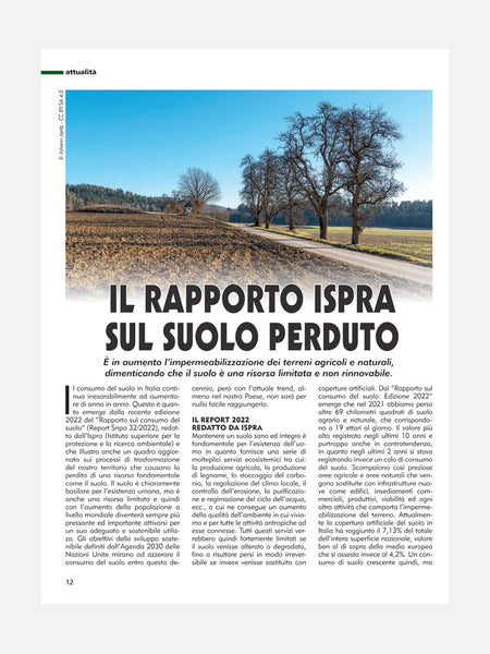 PAGINA 12 RIVISTA - CACCIA & TIRO n. 02/2023 - DIGITALE