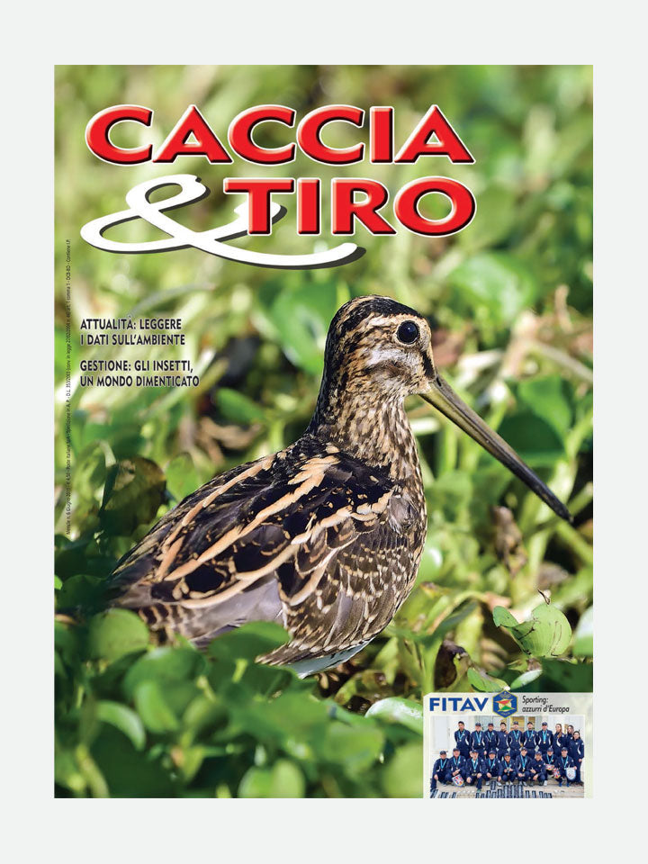 COVER RIVISTA - CACCIA & TIRO n. 06/2019