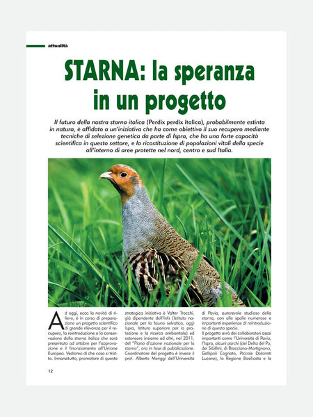 PAGINA 12 RIVISTA - CACCIA & TIRO - n. 10/2015