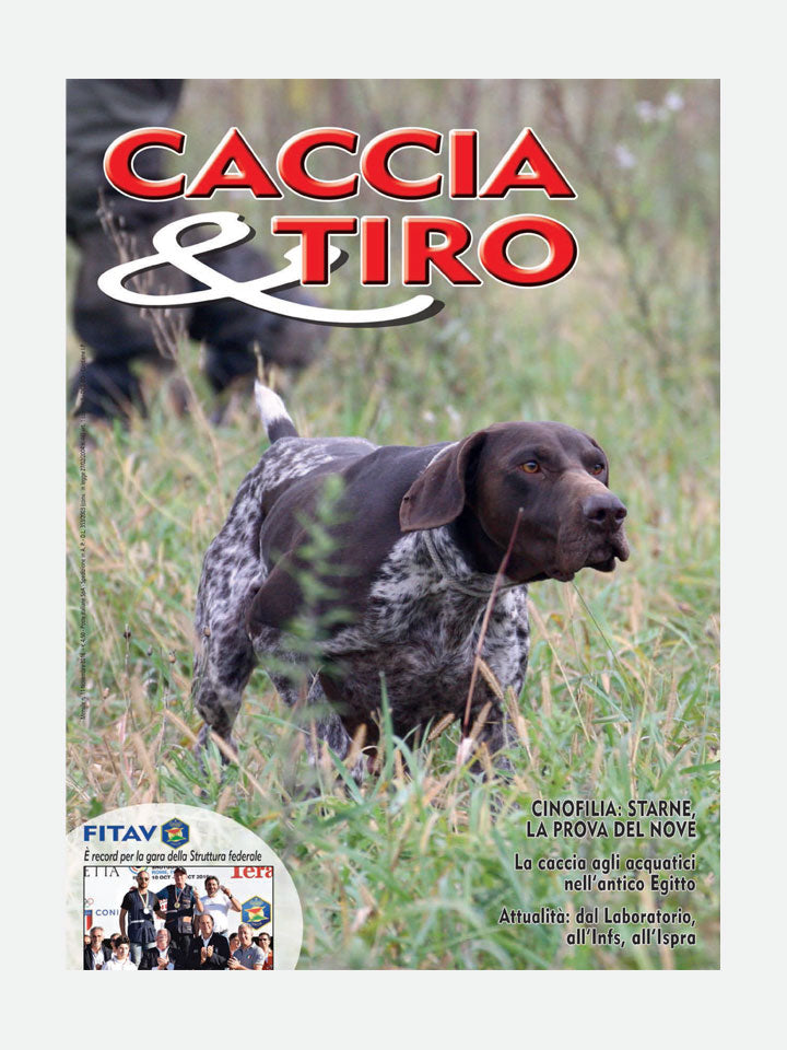 COVER RIVISTA - CACCIA & TIRO n. 11/2016