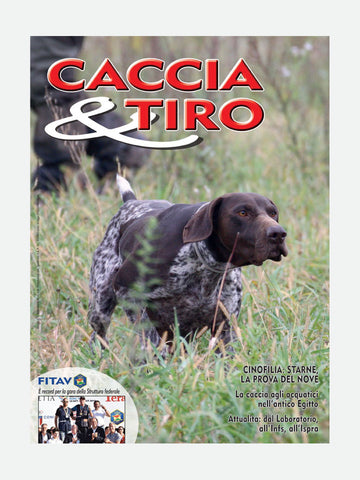 COVER RIVISTA - CACCIA & TIRO n. 11/2016