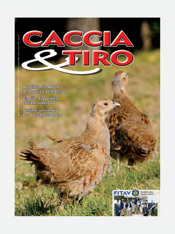 COVER RIVISTA - CACCIA & TIRO n. 11/2020