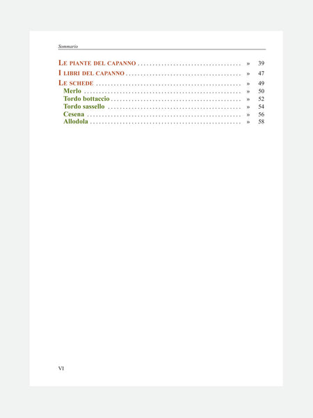 PAGINA VI LIBRO - LA CACCIA AL CAPANNO